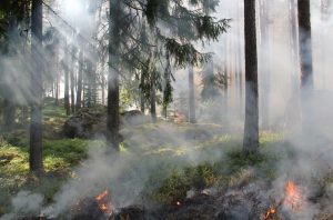 Suisse romande en alerte maximale: l’été devient poudrière