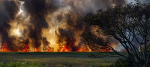 Incendies en cascade en Suisse romande: la sécheresse expose le manque de préparation