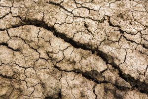 Sécheresse record : le déficit d’eau met l’agriculture romande au bord du gouffre