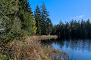 Lac des Brenets : le cri du vide, une Suisse romande qui s’effondre